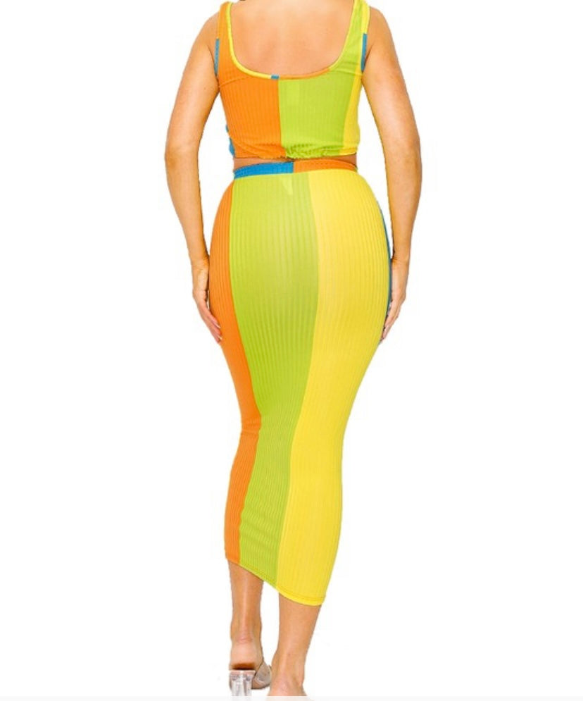 Camellia Color Block Skirt Set